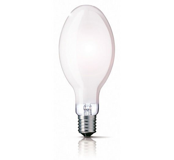 Thorgeon 50W E27 Mercury Frosted Bulb - Efficient Lighting for All Settings