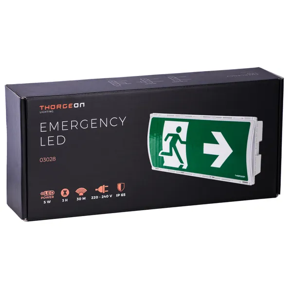 Emergency LED 3H 5W 6000K 100Lm White light, showcasing its IP65 IK08 rating and suitability for safety lighting.
