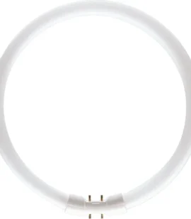 Master TL5 Circular 55W 830 1CT/10 Energy-Efficient Lamp