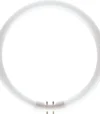 Philips MASTER TL5 Circular 40W/830 Fluorescent Tube in White