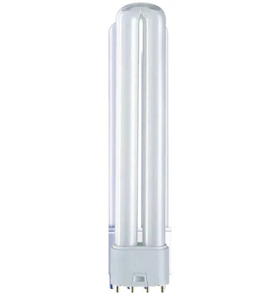 24W 2G11 Compact Fluorescent Lamp with Cool White 4000K Light